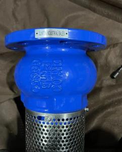 China EPDM seal ductile iron flanged foot valve made in China factory