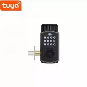 China Apartment Tuya APP Smart Lock / Black Home Electronic Door Lock factory