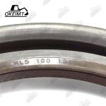 AH4079R 100*135*15 Crankshaft Rear Oil Seal For Engine DB58 6BG1T Excavator