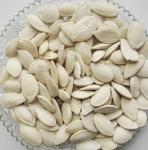 Pure Natural Semen Moschatae Powder-- pumpkin seed extract --Cucurbita moschata