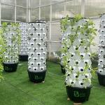 65L 10 Layer 80 Holes Growing System Hydroponic Vertical Farming Garden for Sale