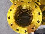 Hot Forging Steel FLANGE BS 4504 BS10 PN6 PN10 PN16 PN25 PN40 SORF Plate Blind