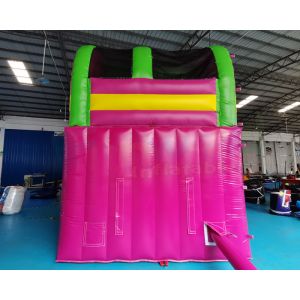 Multi Color Backyard Palm Tree Jumping Bouncer Water Slide