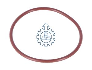 China O-ring 17298081 factory