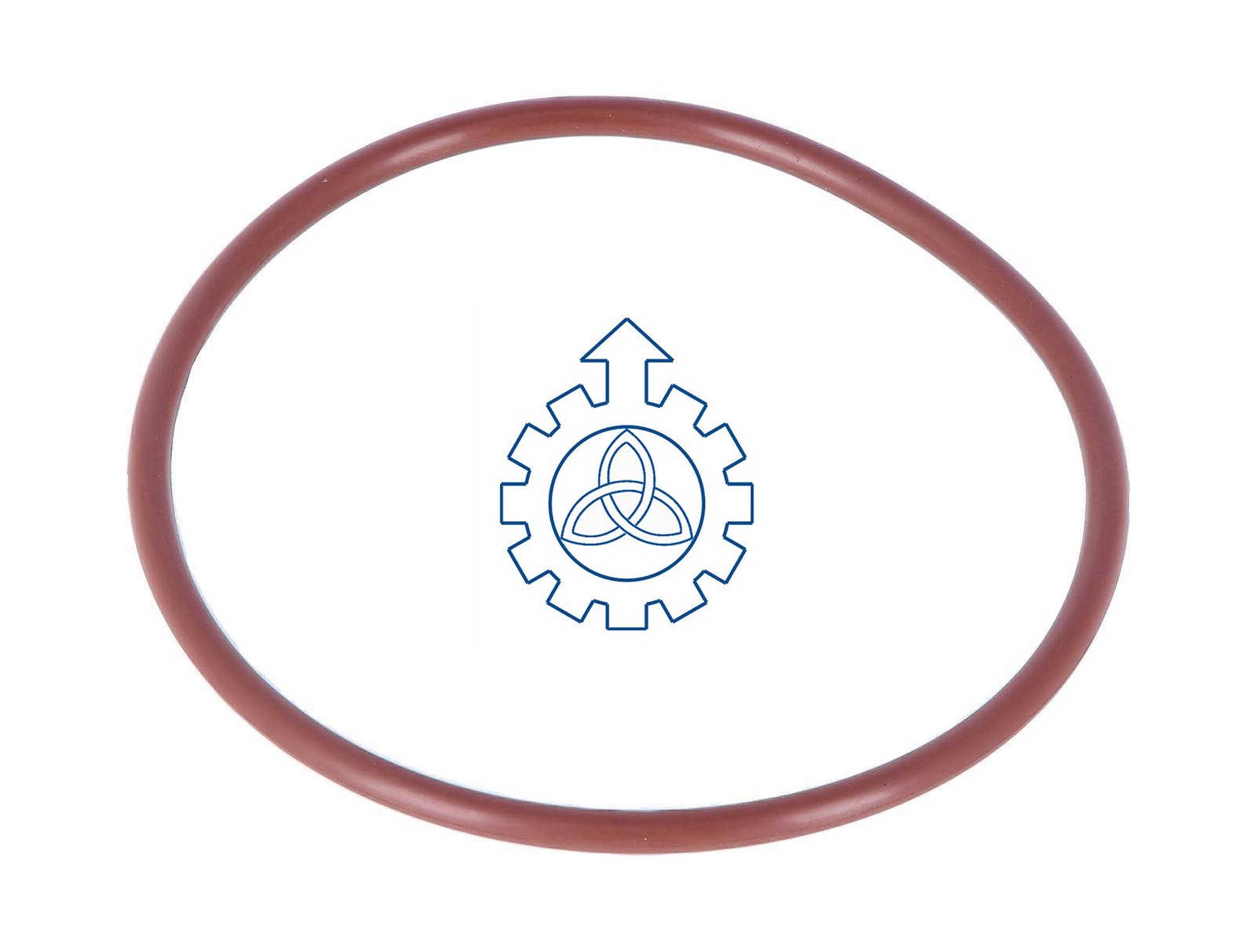 O-ring 17298081