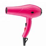 High Speed Electric Powerful Hair Dryer 2200 Watt Multifunction For Hotel Salon
