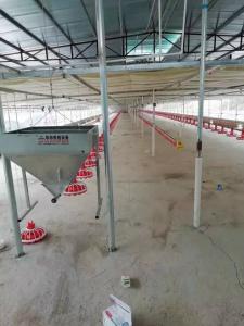 China Plastic Poultry Farm Equipment 380v 0.75kw Automatic Feeding Machine For Poultry factory