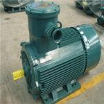 Waterproof Three Phase 50 60HZ Mill Crusher Electric Motor Mining Machine Spare