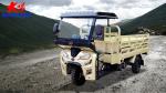 200cc Water Cooled Delivery Motor Farm Tricycle with Maximum Speed ≥70Km/h in