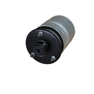 China Range Rover Air Spring Rear Strut Replacement RPD501110 for Sport Discovery 3 factory