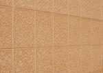 Cladding Panel
