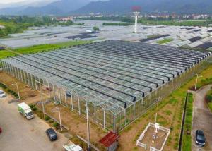 China Irrigation Clear Glass Tomatoes Shade Greenhouse factory