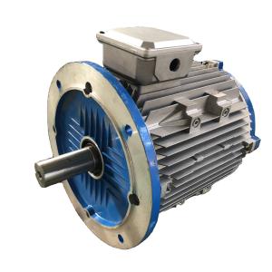 China IE5 Line Start Permanent Magnet Motor , IP68 AC Synchronous Electric Motor factory