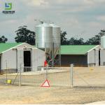 High Quality Chicken Broiler Poultry Farm Steel Structure Shed House Layer