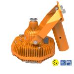 30W 45W 60W LED Explosion Proof Flood Light Flameproof lamp Ex Forest Frog