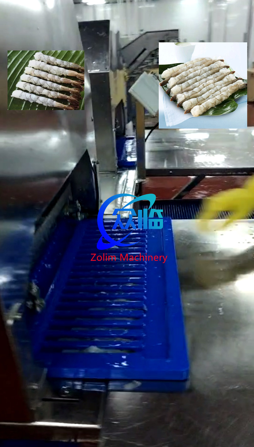 2.25KW Tempura Shrimp NOBASHI Stretching Machine, Shrimp Extending Machine