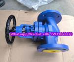 DIN flanged cast iron globe valve manufacturer