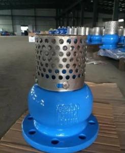 China Customized Service WCB Cast Iron Flanged End Foot Valve for Durable and Fluid Control factory