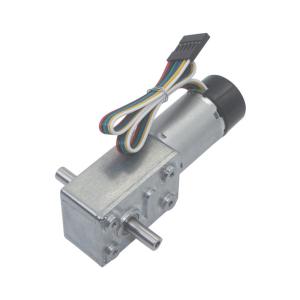 China Faradyi Custom Dc 24v 3rpm Worm Gear Motor 60kg-cm Reversible High Torque Speed Reduce Turbine Electric Gearbox Motor 8mm Shaft factory