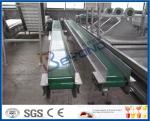 Heat Resistant Slat Conveyor Belt System For Orange Sorting Machine 2TPH Load