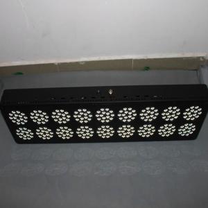 China 640w apollo led hydroponic plant grow led light for hydroponic Red+Blue+Violet+Orange factory