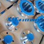 F304L 300LB ASTM A403 Stainless Steel Weld Neck Flanges