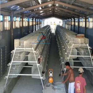 China Customized Steel Structure Poultry House Fire Resistant For Dairy Farm factory