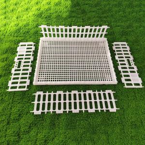 China Ventilated Portable Poultry Travel Cage Easy Assembly Yellow White Plastic Carrier factory