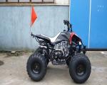 Electric Start Youth Racing ATV Front Drum Brake Rear Disc Brake 12V 4AH Battery