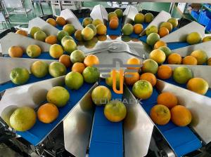 China Oranges Food Grade 5.0L 14 Head Multihead Weigher on sale