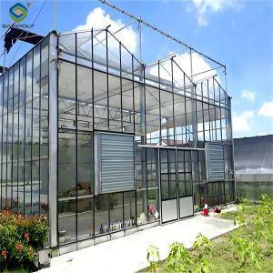 China Modern Venlo Glass Greenhouse Plant Tomato Cucumbers High Wind Resistance on sale