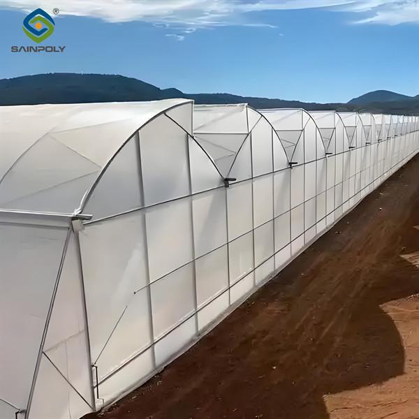 China Galvanized Steel Frame Greenhouse multi span greenhouse Film Covering Space Efficient factory