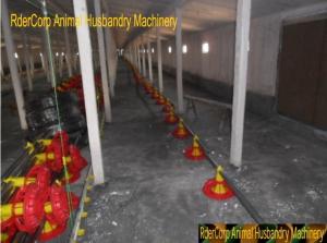 China Poultry Pan Automatic Auger Feeding System factory