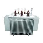 High Voltage Oil Immersed Distribution Transformers, Manufacturer of Distributio