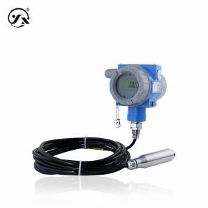 China CYW101Y Intelligent Wireless Level Transmitter 0~1~50mH2O NB-IoT 0.1%FS 0.25%FS 0.5%FS factory