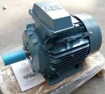 ABB Motor 3GBP Series 3GJP181410-A_H Professional IP55 3 Phase Electric Motors