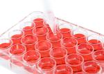 Gamma Sterile Cell Culture Plate Lab Consumables Plastic Microplate 24