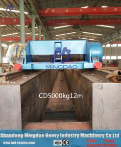 China MD Brand Professional Designed Electric Hoist Crane With Low Factory Price factory