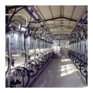 China Glass Jar Herringbone Type Cow Milking Parlour Automatic Milking System factory