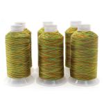 Eco-Friendly Kangfa Tex70 Sewing Thread 100% Polyester Rainbow Yarn Count 120D
