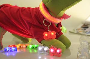 China PET LED flashing collar necklace Buckle Safety Night Light bone dog ID tag Pendant factory