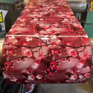 China Customizable Length RAL Color Prepainted Red Color Coated DX51D Zinc Coated Hot Steel Coil 0.12 for Your Requirement factory