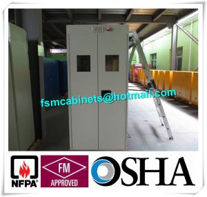 China Fire Resistance Gas Cylinder Storage Cabinet , Gas Detector Industrial Safety Cabinet factory