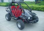 Water Cooling 250cc Cool Go Karts , 2 Seater Go Kart With CVT Clutch