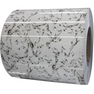China Galvanized Color Plate Steel Coil PPGI Steel Coated Sheet Plate Prepainted Gal with EN Standard 0.12-3mm Thickness factory