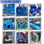 DN100 Cast Iron Dark Rod Gate Valve with Manual Operation and Double Flange