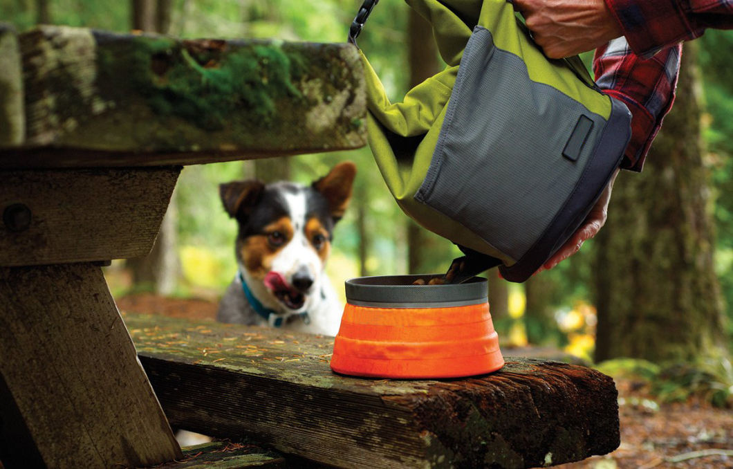 Large Travel Pet Dog Food Carrier Convenient for Camping, Hiking Camping Bag Collapsible, Portable, Lightweight Roll Top Closure10L Capacity