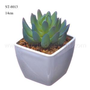China Natural Looking Artificial Succulents Plastic Potted Table Plant Ornamental factory