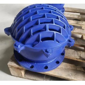 resilient seal ductile iron flanged foot valve blue color from China medium