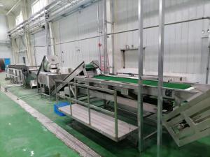 China 500T/D Guava Pulp Production Line 415V Guava Processing Plant For Concentrated Juice factory